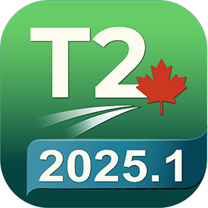 T2 2025.1